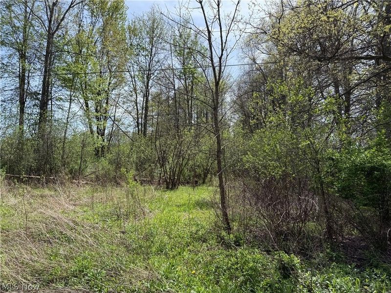 V/L Donley Road, Middlefield, OH 44062 Photo 30
