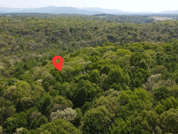 391 Ridge Rd, Lancing, TN 37770