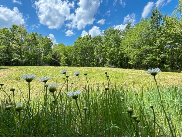 0 Hwy 100 , Centerville, TN 37033