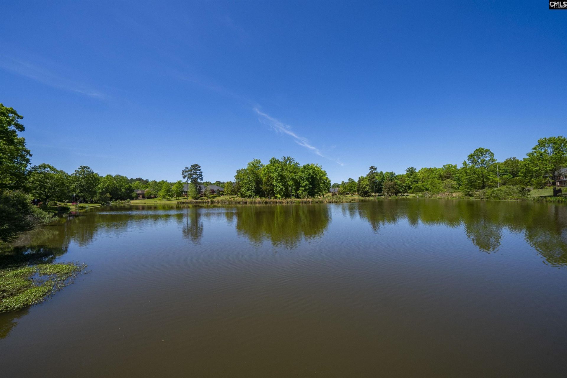 104 Lake Hilton Drive  Photo 12