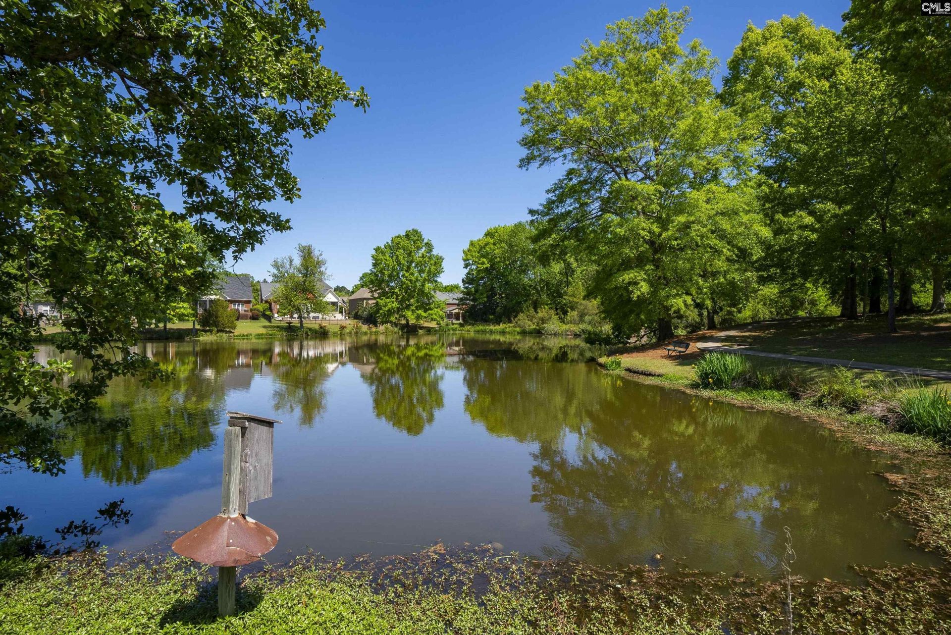 104 Lake Hilton Drive  Photo 9