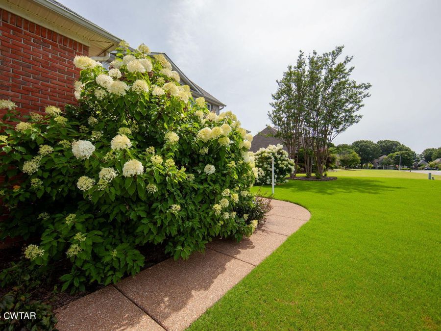 Property Image 68