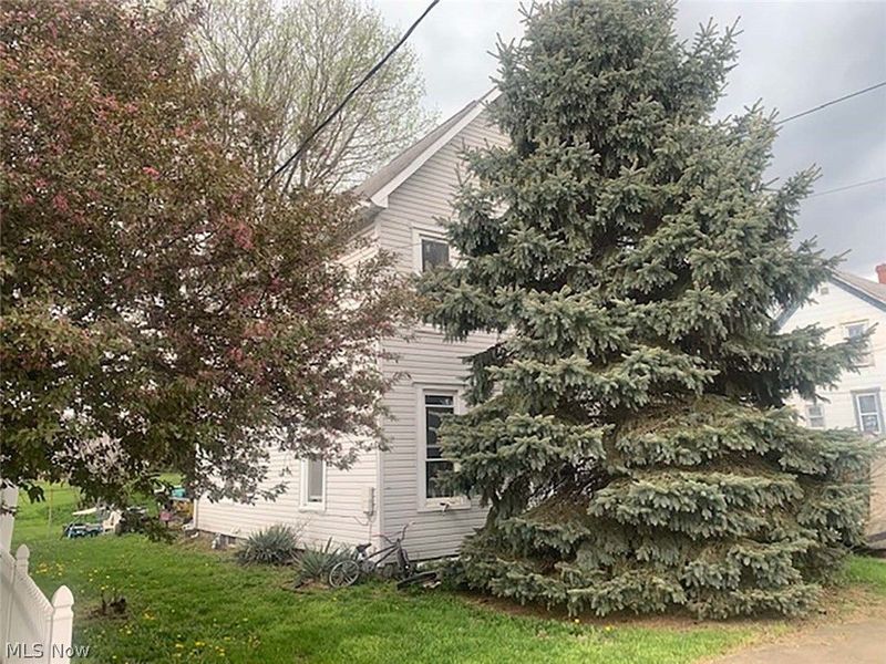 207 Thomas Street, Minerva, OH 44657 Photo 2