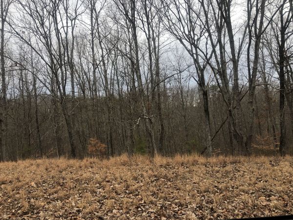 99 Deepwood Dr , Waverly, TN 37185