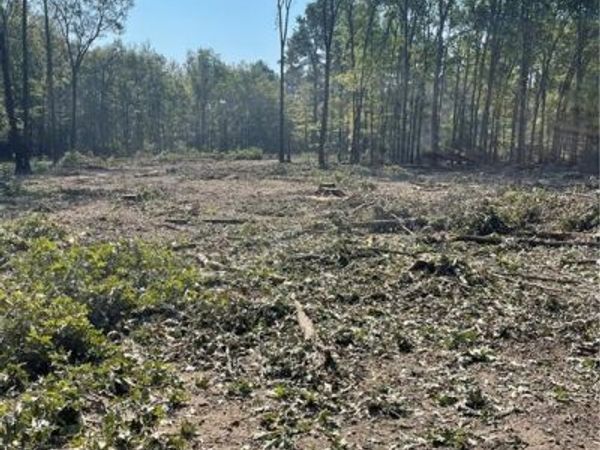 PETE SLAUGHTER Road , Coushatta, LA 71019