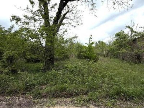 6919 County Road 665 , Birch Tree, MO 65438