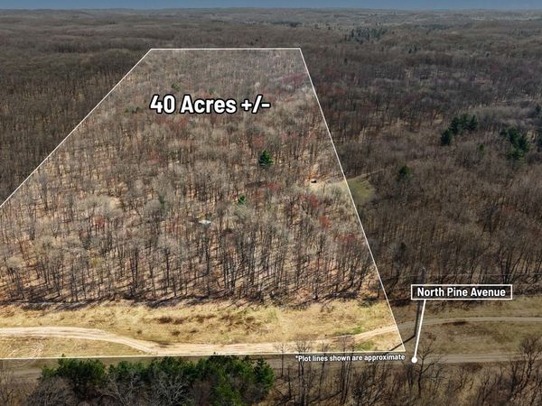 VL N Pine Avenue, Big Rapids, MI 49307