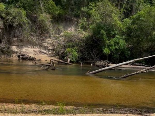 0 Sardis Church Road, Atmore, AL 36502