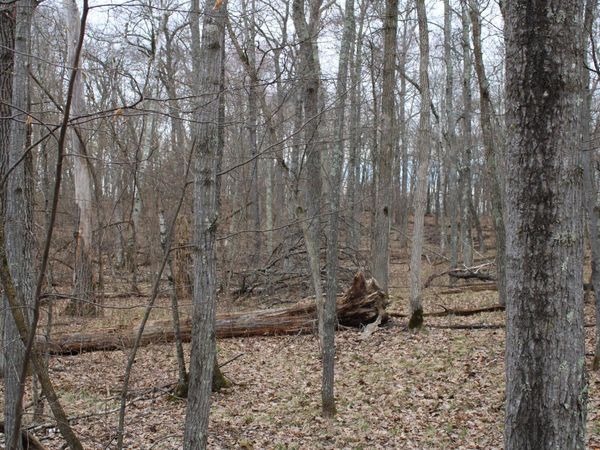 TBD St. Moritz Boulevard , Breezy Point, MN 56472