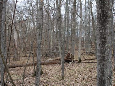 TBD St. Moritz Boulevard , Breezy Point, MN 56472