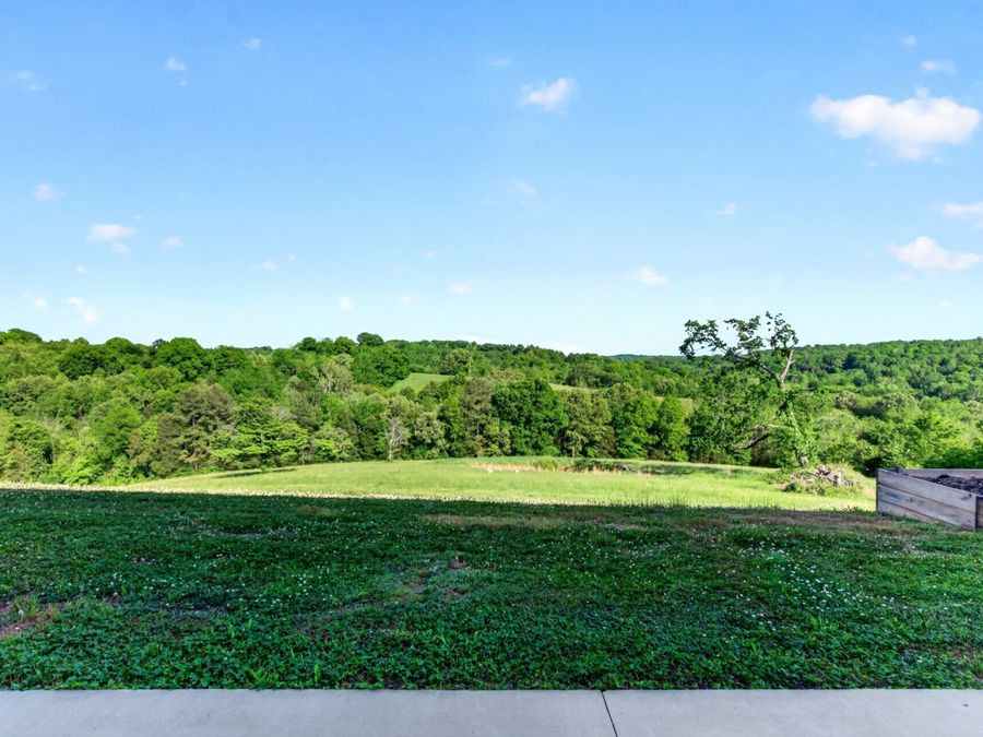 Property Image 81