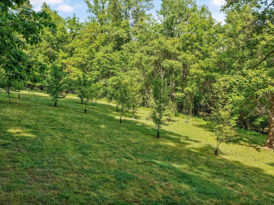 Property Image 54