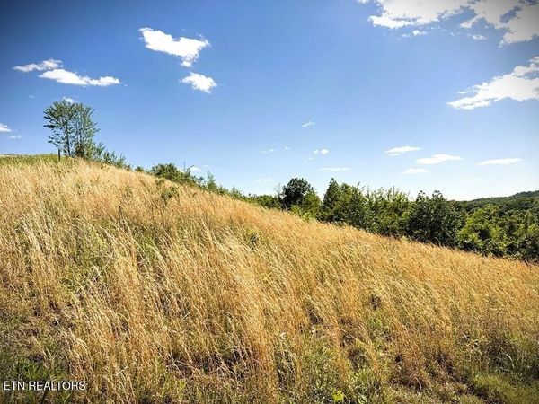 100 Mallard Lane , Hilham, TN 38568