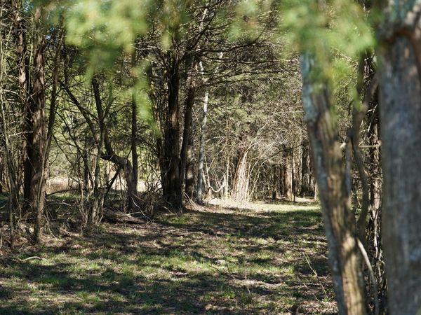 999 Old Lewisburg Hwy Tract 1 , Columbia, TN 38401