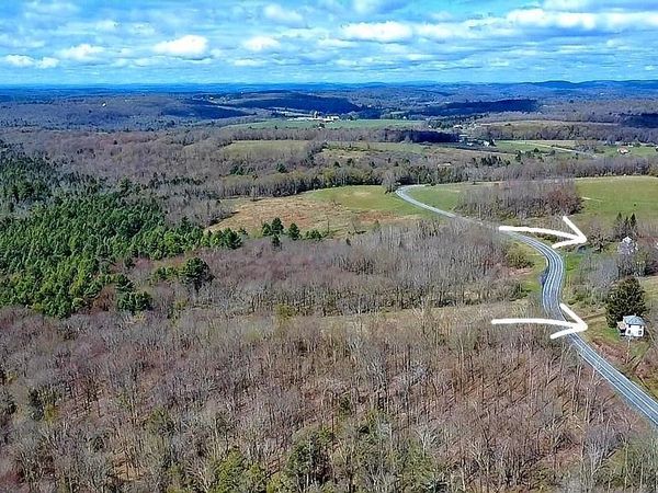 1089 Briscoe Road, Swan Lake, NY 12783