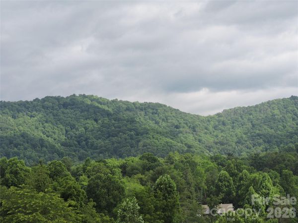 60 Gins Lane , Mars Hill, NC 28754