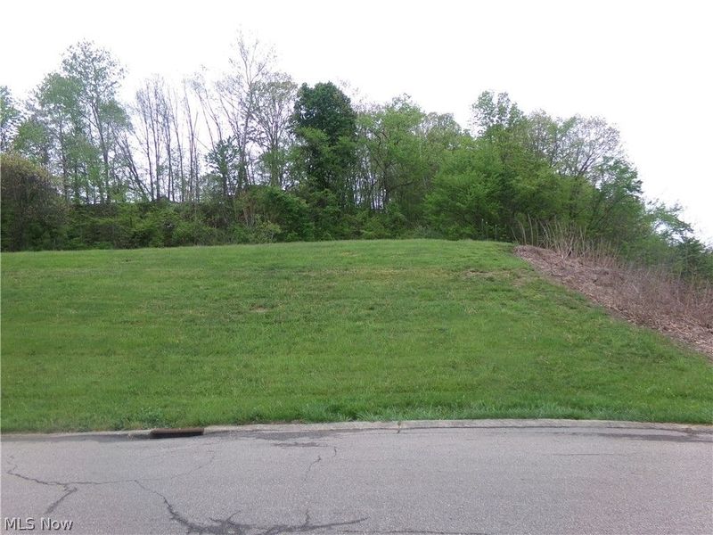 Spitler Drive, Coshocton, OH 43812 Photo 2