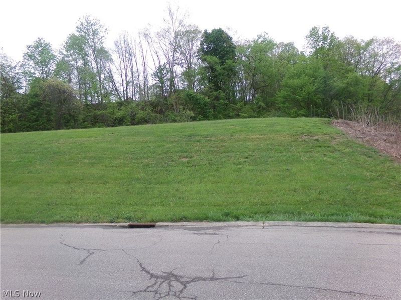 Spitler Drive, Coshocton, OH 43812 Photo 3