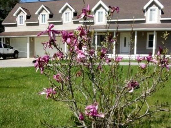5255 N Seymour Road, Flushing Twp, MI 48433