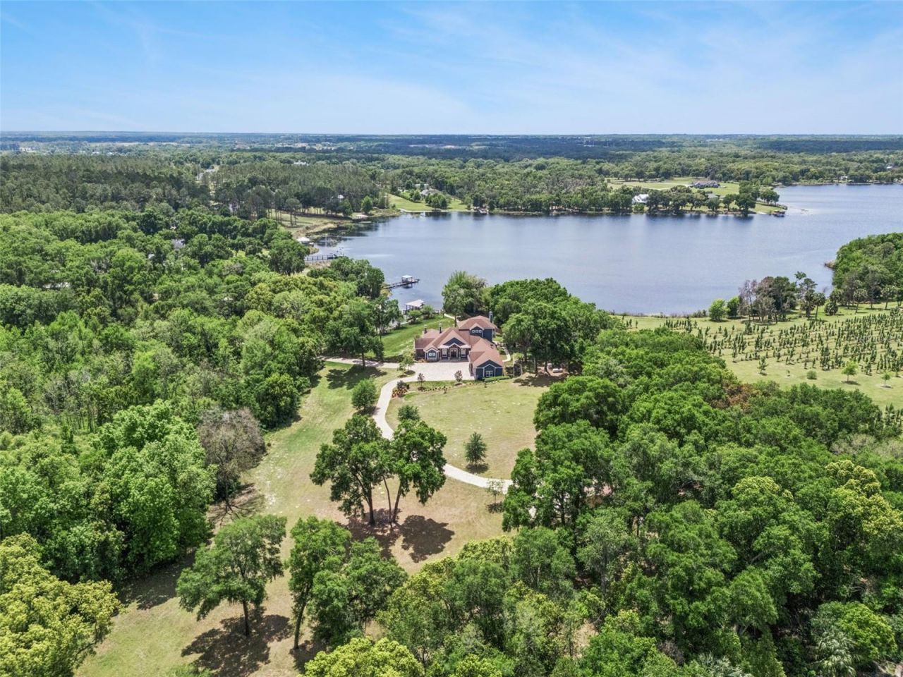 22621 Shady Branch Way, Eustis, FL 32736 Photo