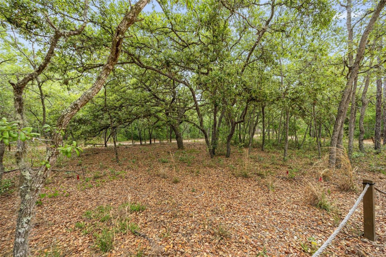 414 S School Avenue , Lecanto, FL 34461 Photo