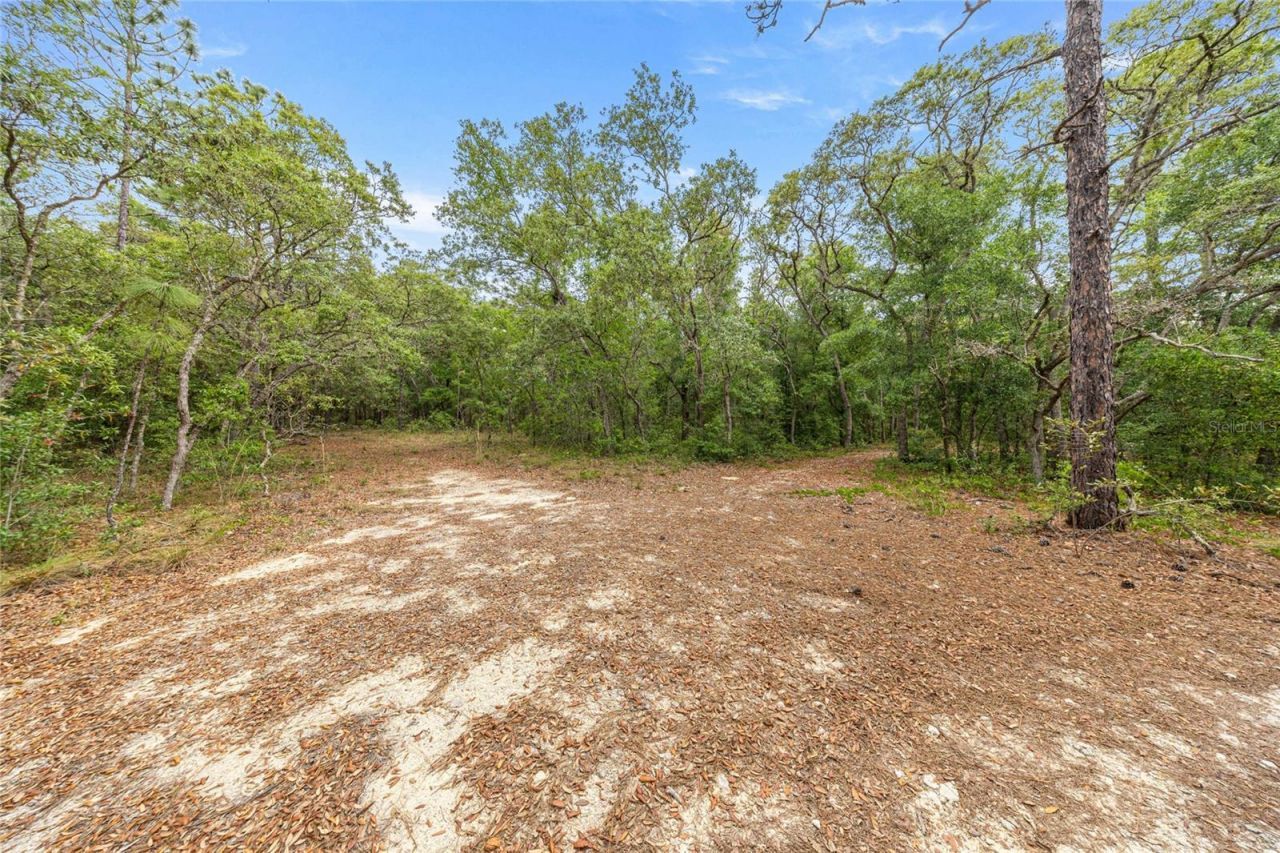414 S School Avenue , Lecanto, FL 34461 Photo