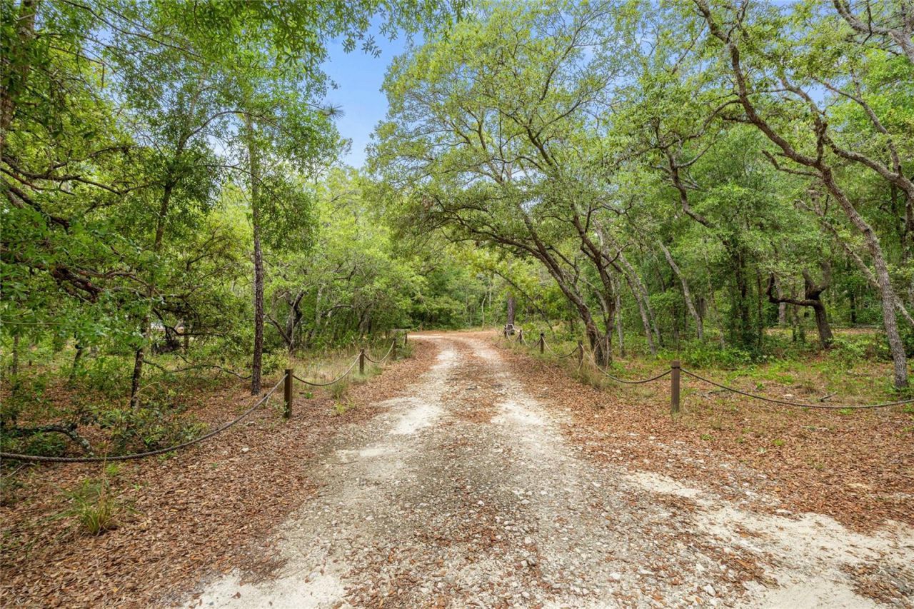 414 S School Avenue , Lecanto, FL 34461 Photo