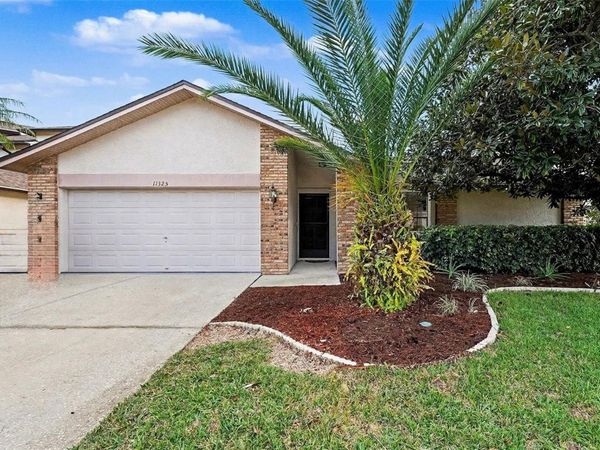 11325 GLENMONT DRIVE , TAMPA, FL 33635