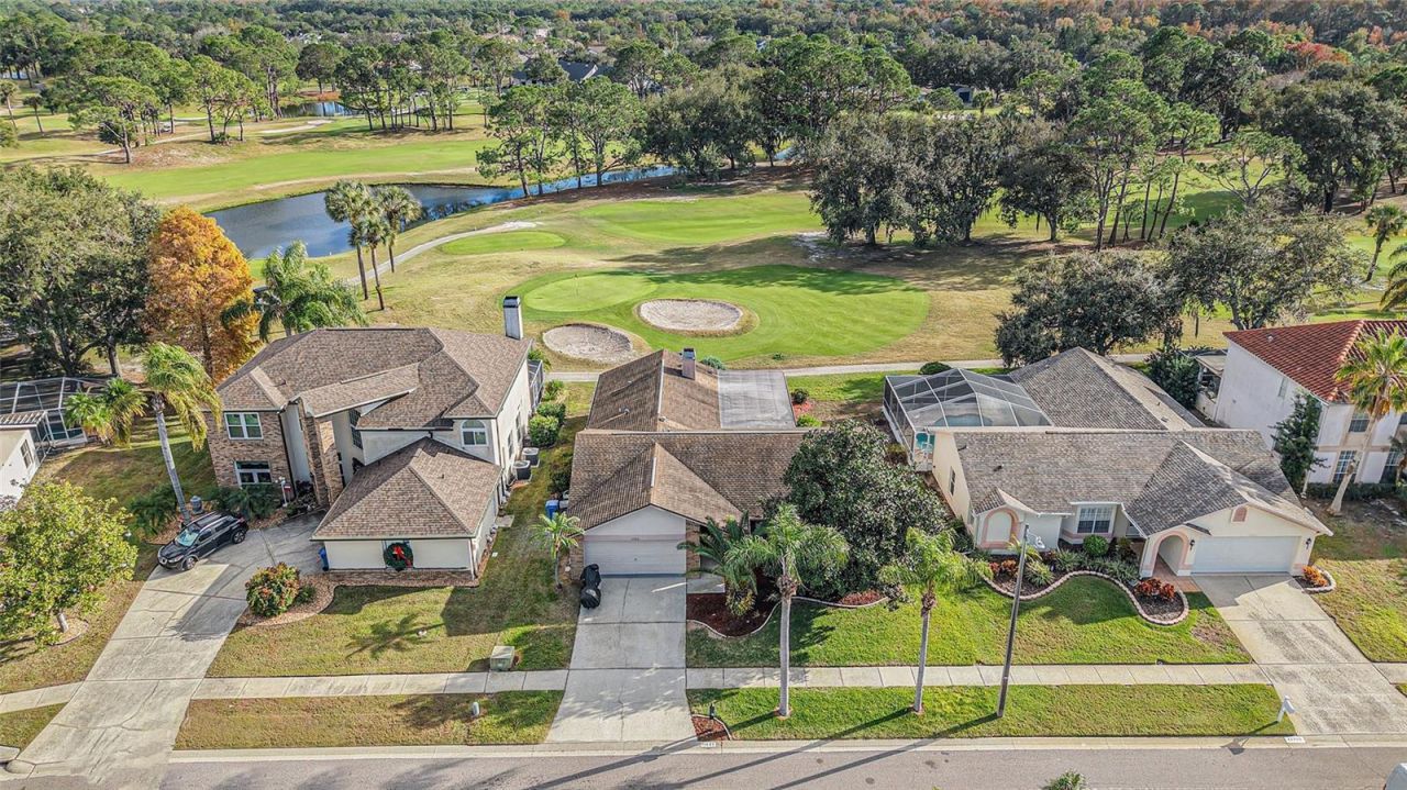 11325 Glenmont Drive, Tampa, FL 33635 Photo