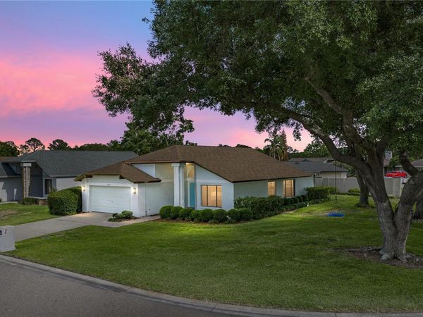 2317 WALDEN PLACE N, PLANT CITY, FL 33566