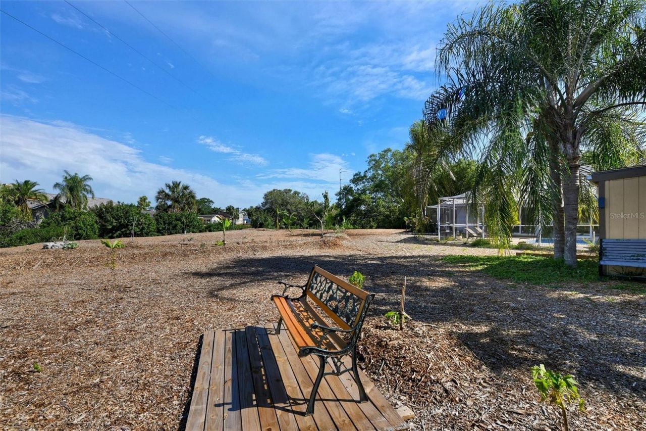 1667 Bravo Drive, Clearwater, FL 33764 Photo