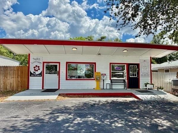 1180 S MAIN STREET , BELL, FL 32619