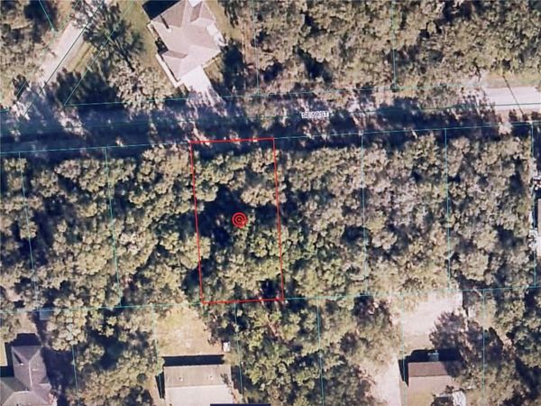 16604 SE 59TH STREET , OCKLAWAHA, FL 32179