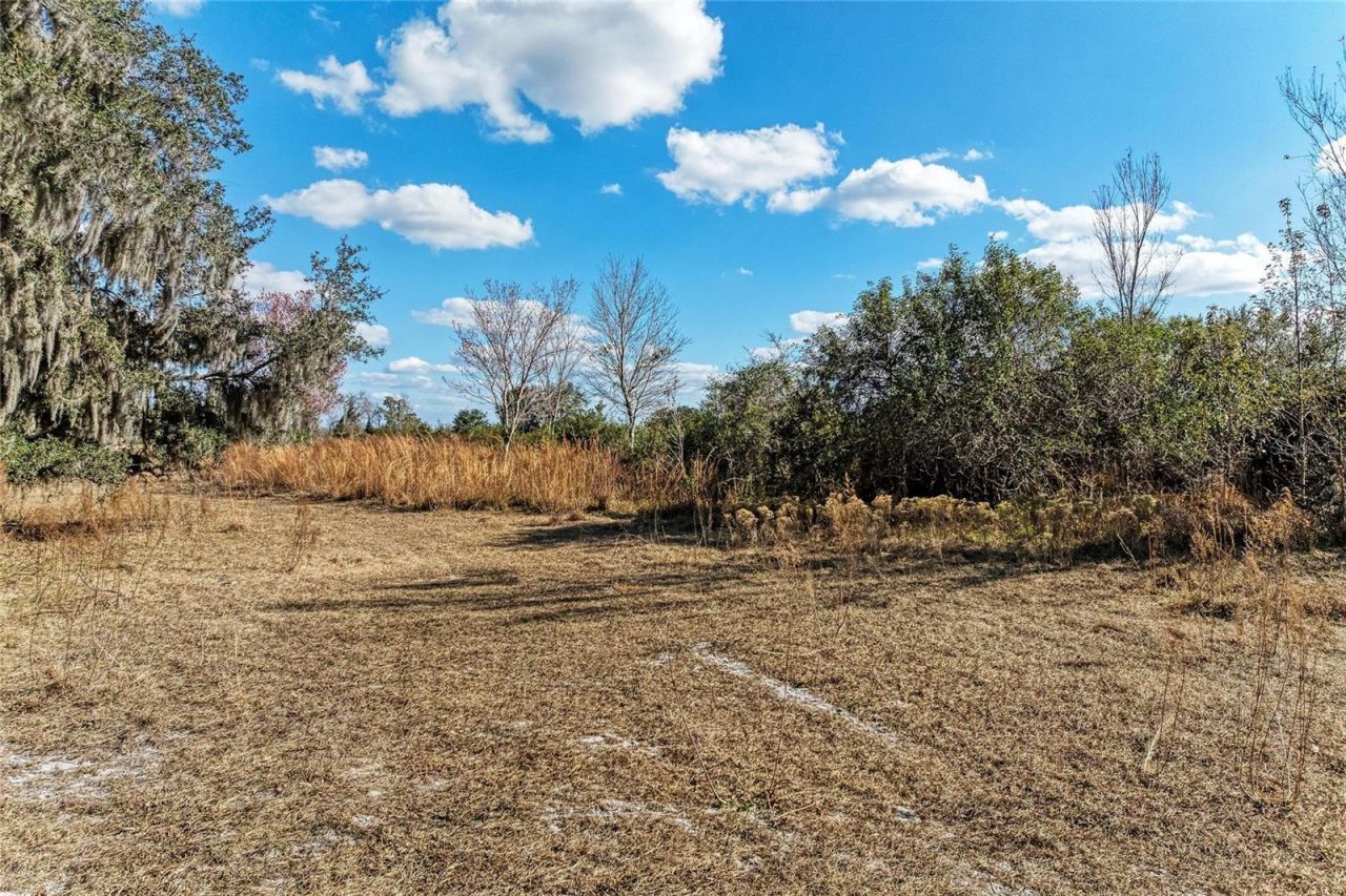 33100 & 33070 Taylor Grade Road , Parrish, FL 34219 Photo