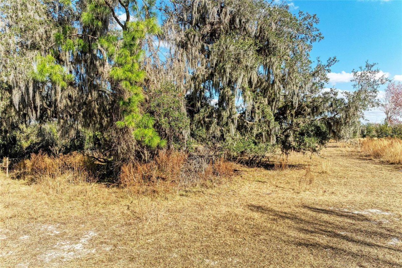 33100 & 33070 Taylor Grade Road , Parrish, FL 34219 Photo