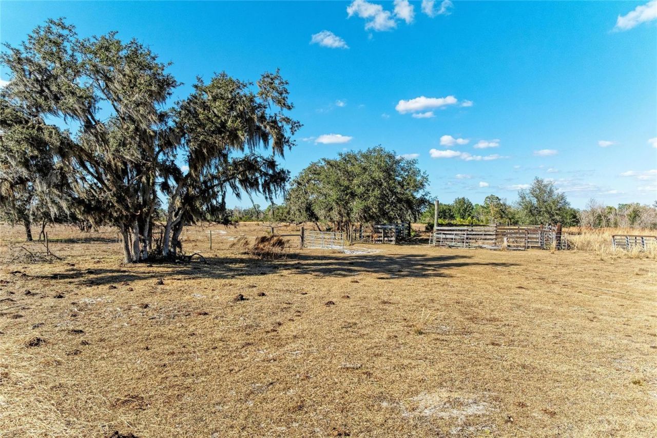 33100 & 33070 Taylor Grade Road , Parrish, FL 34219 Photo