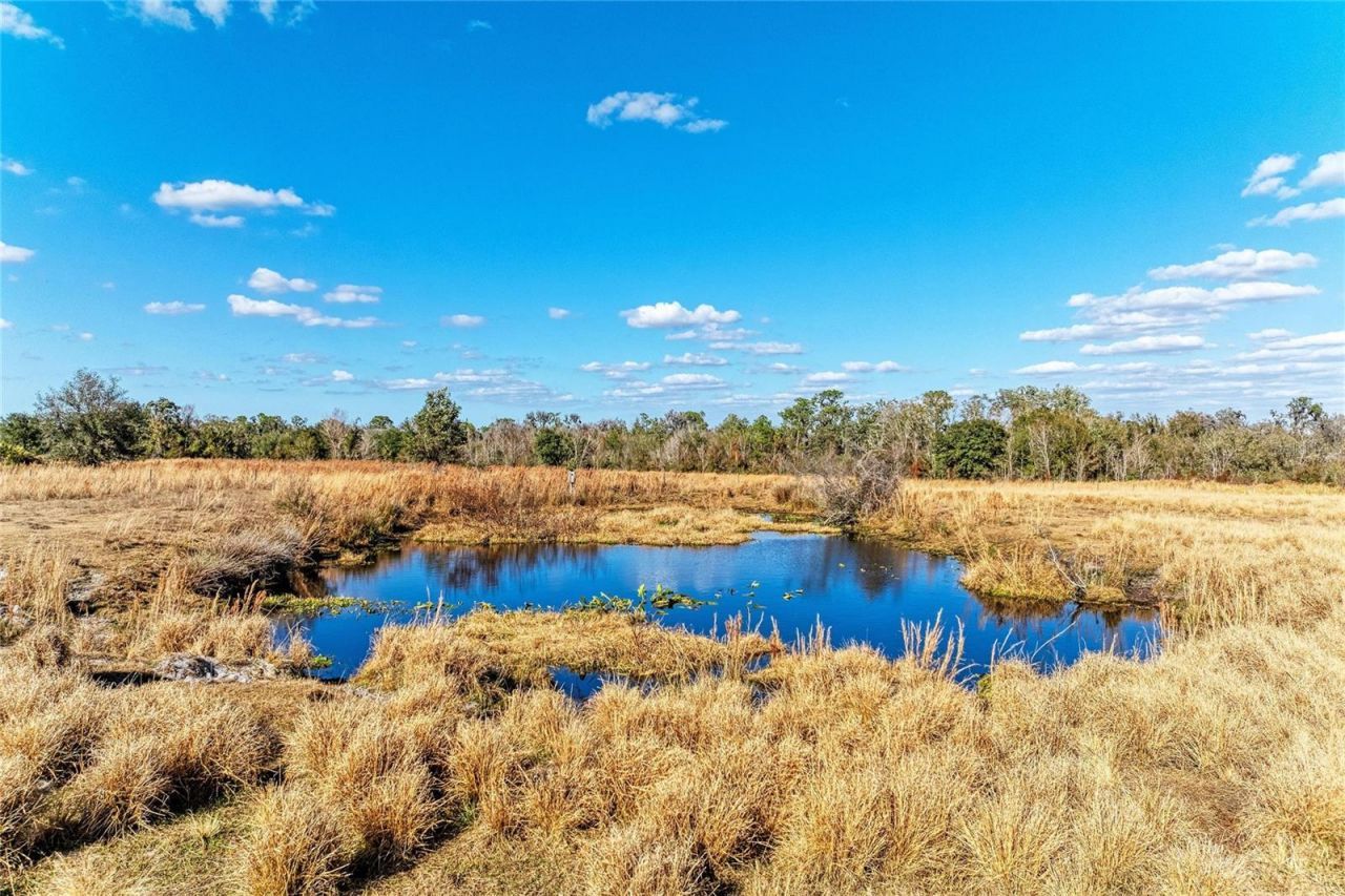 33100 & 33070 Taylor Grade Road , Parrish, FL 34219 Photo