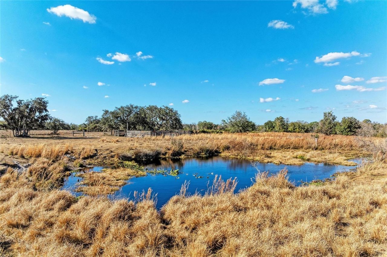 33100 & 33070 Taylor Grade Road , Parrish, FL 34219 Photo