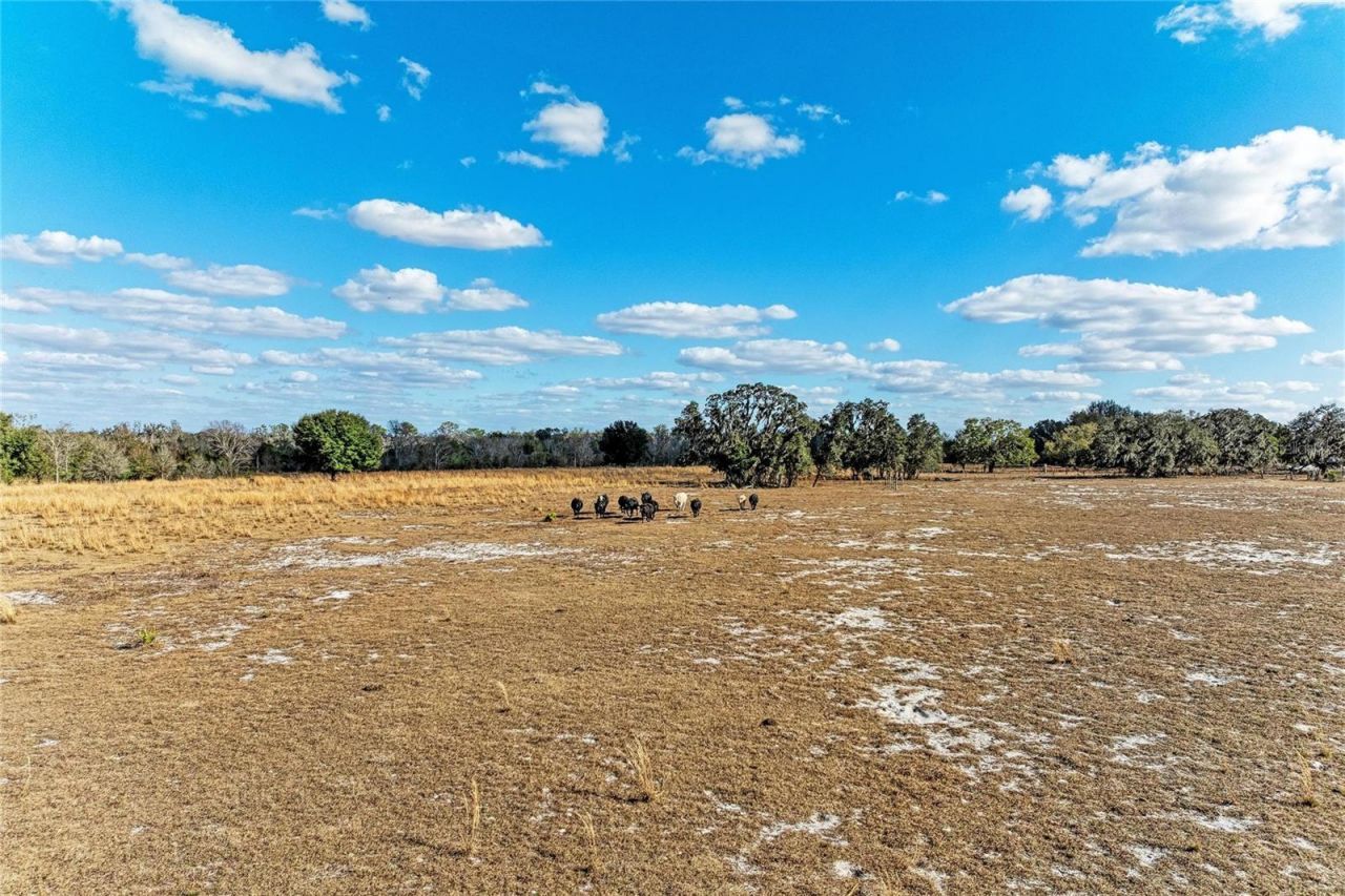 33100 & 33070 Taylor Grade Road , Parrish, FL 34219 Photo
