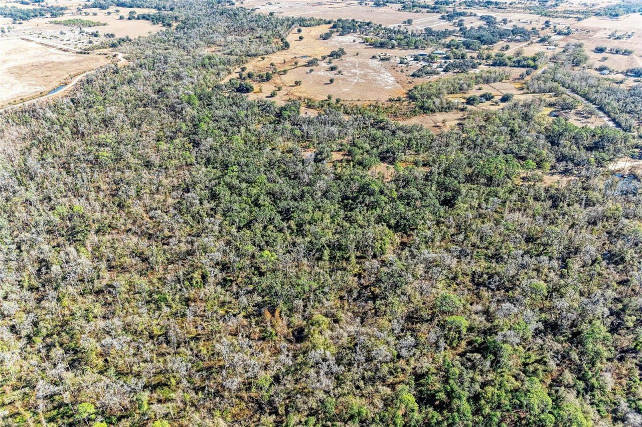 33100 & 33070 Taylor Grade Road , Parrish, FL 34219 Photo