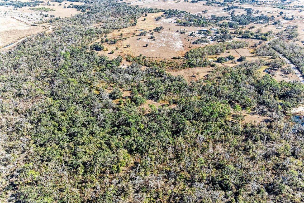 33100 & 33070 Taylor Grade Road , Parrish, FL 34219 Photo