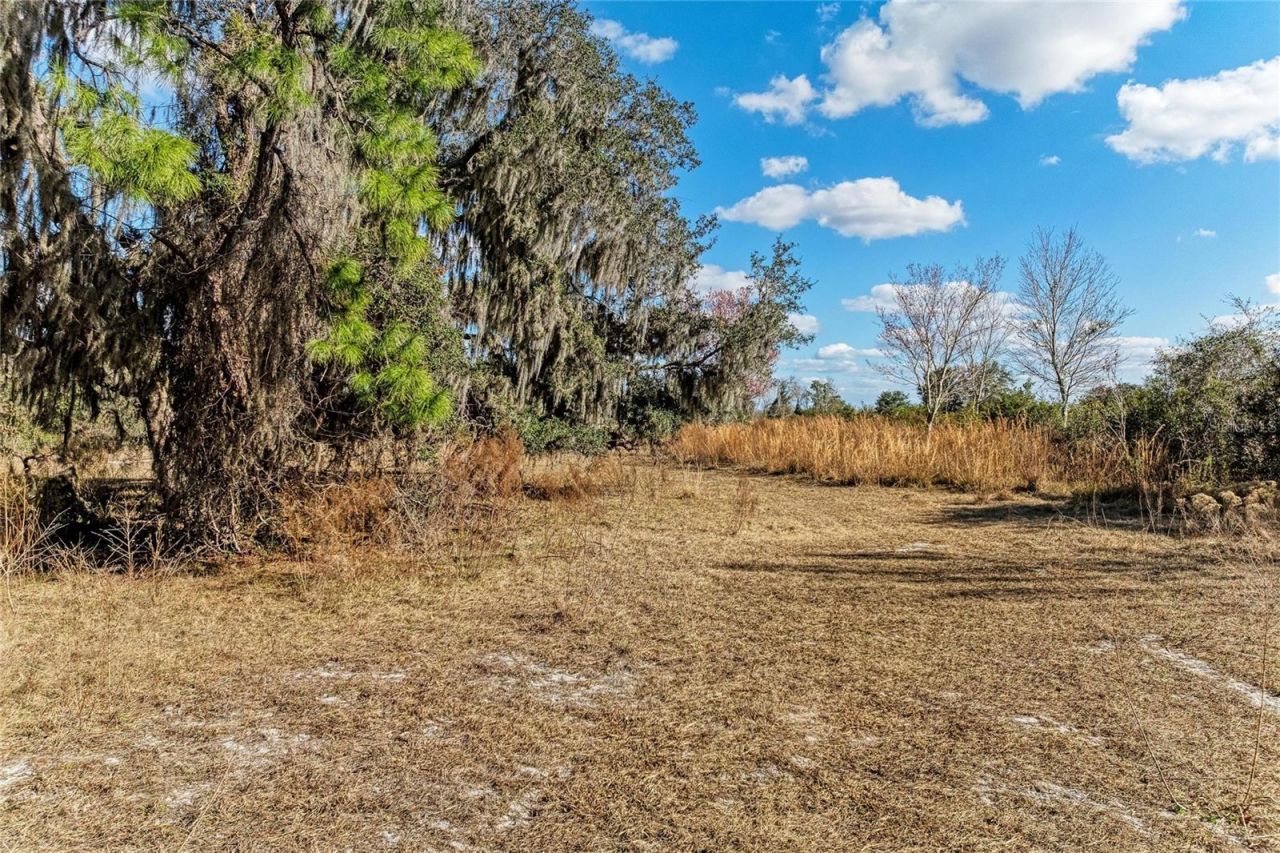 33100 & 33070 Taylor Grade Road , Parrish, FL 34219 Photo