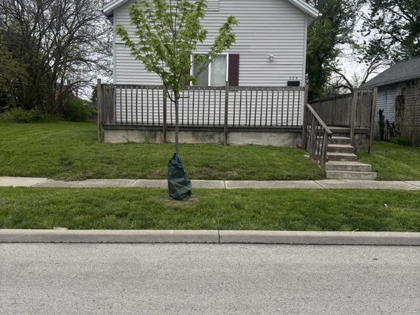 554 Tecumseh Street, Toledo, OH 43604