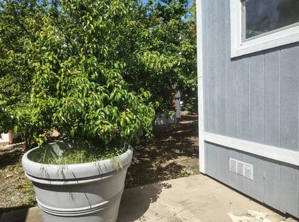 3901 Lake Rd ##151, West Sacramento, CA 95691 Photo