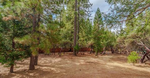 19740 Ponderosa Drive, Volcano, CA 95689 Photo