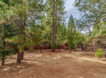 19740 Ponderosa Drive, Volcano, CA 95689 Photo