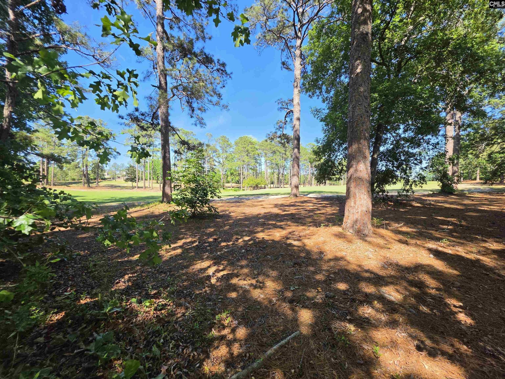 124 Creekside Cottage Court  Photo 17