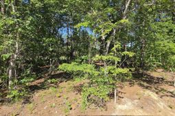 124 Creekside Cottage Court photo 4