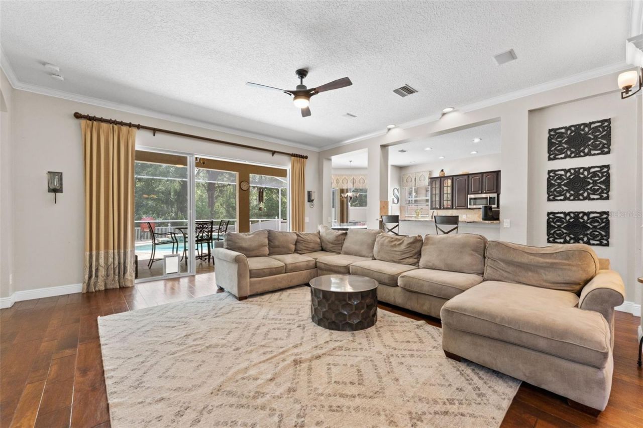 11615 Renaissance View Court, Tampa, FL 33626 Photo