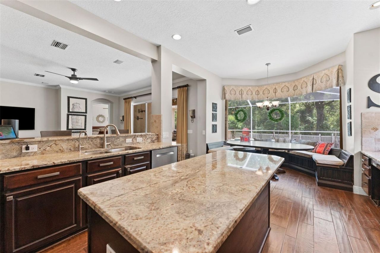 11615 Renaissance View Court, Tampa, FL 33626 Photo